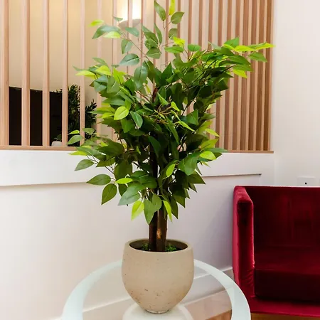 Vivimi - Bligny Luxury House Milan